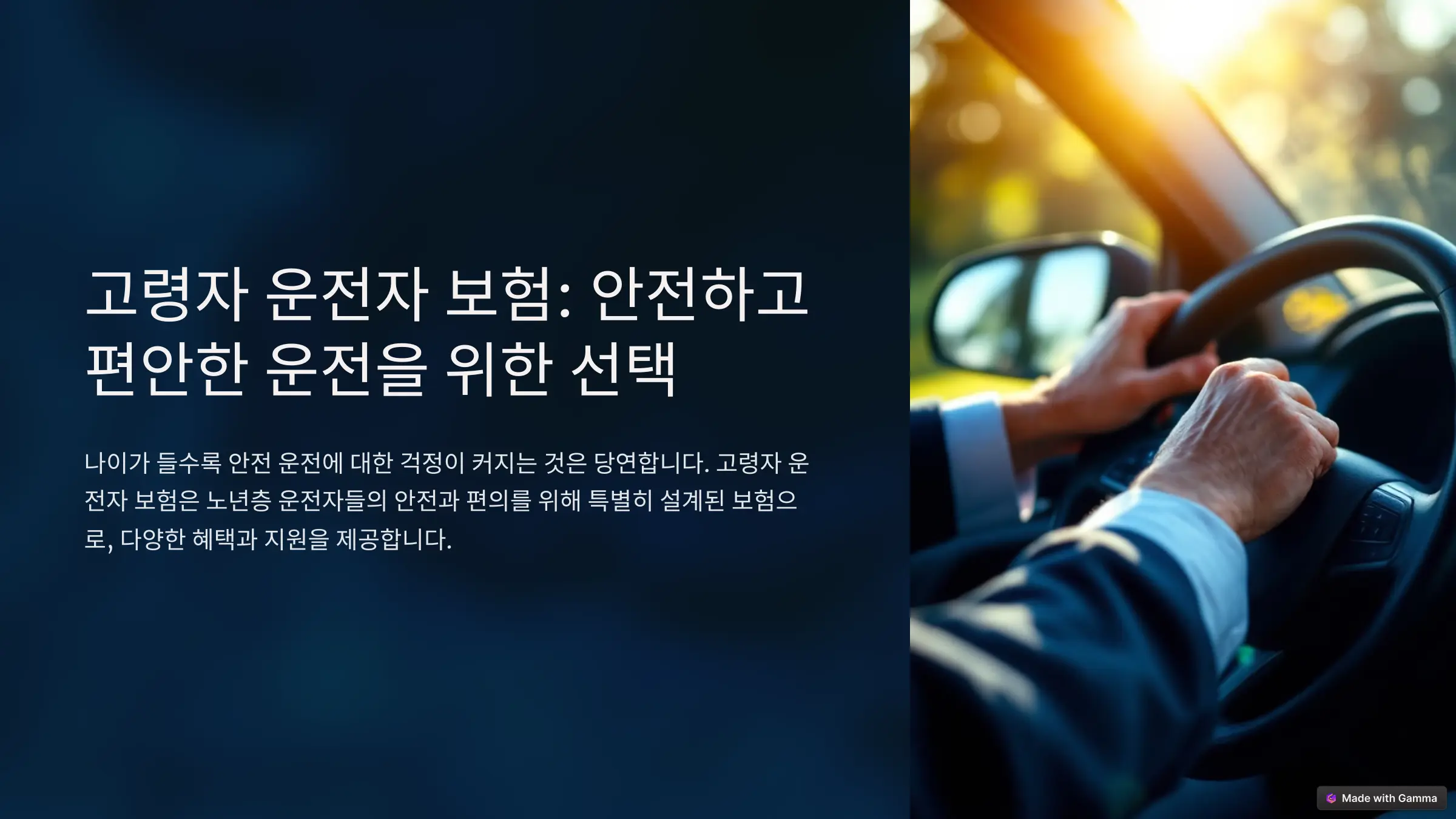 고령자 운전자 보험