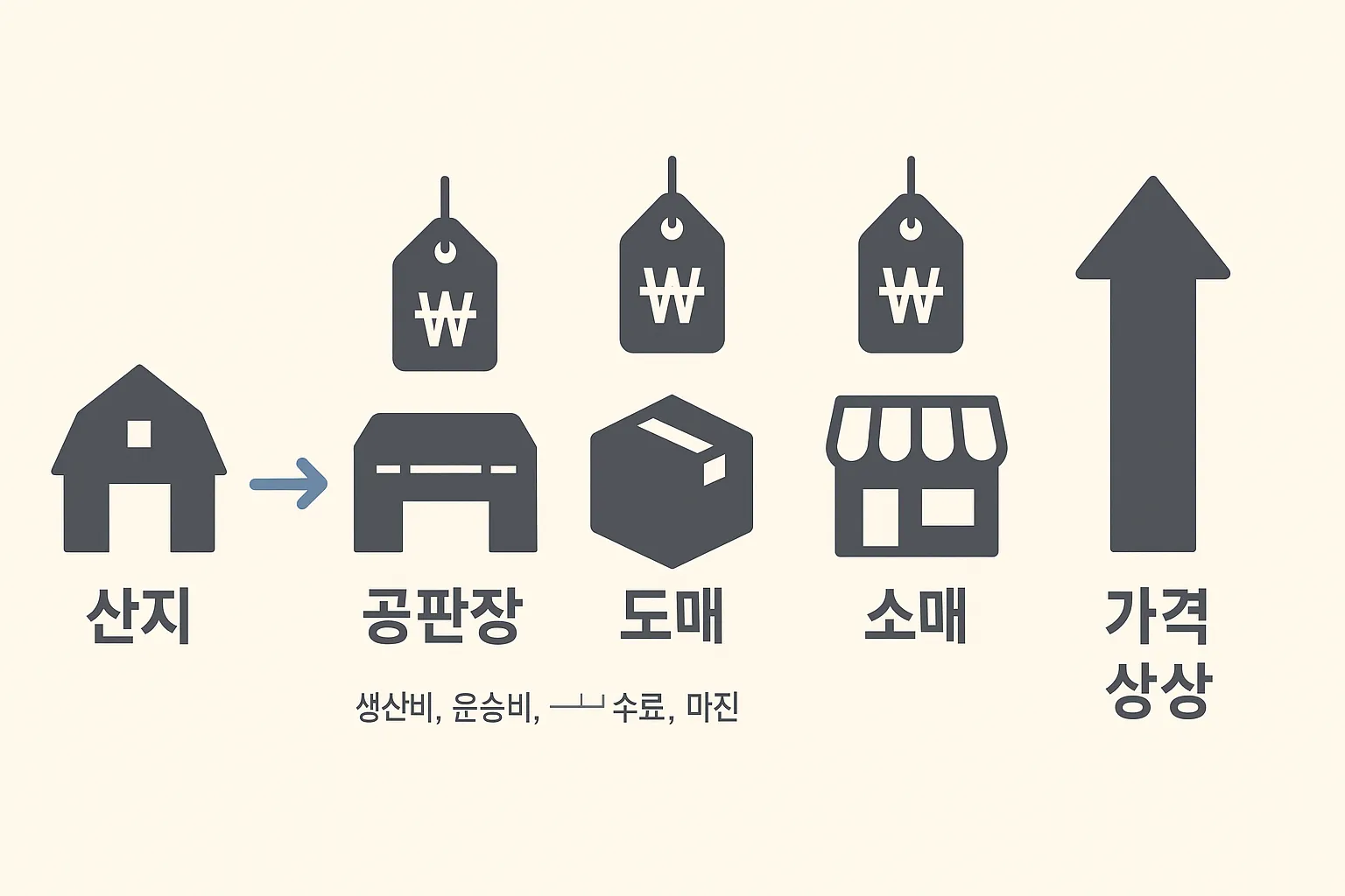 산지→공판장→도매→소매 가격 흐름을 보여주는 깔끔한 인포그래픽, 한글 라벨