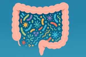 건강한 장내 세균 구조를 시각화한 일러스트